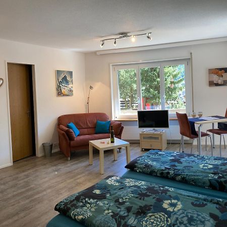 Bodmen B Apartment Zermatt Ngoại thất bức ảnh